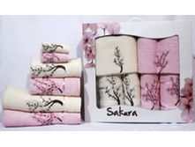 ��������� "Sakura" ����� 6 ���