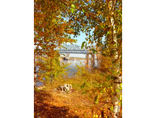 IMG 20150923 130103.jpg