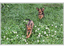 2 ������