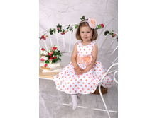 �-257 ������ ������ ������ �����.JPG