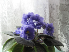 IMG 4507.JPG