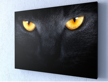 ������ ���.jpg