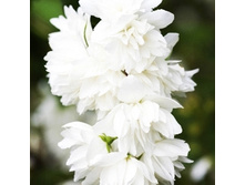 �������� ���������-143