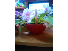 ��������� �����