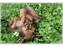 2 ������