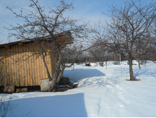 ���� �� ������