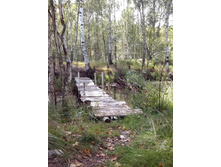 IMG 20150902 145125.jpg