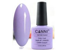 Gellak Shellac CANNI 67 min.jpg