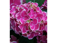 ��������� ������ 200�