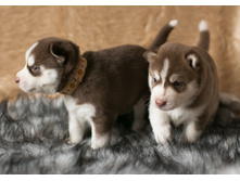 №1 ������� � №3 �������