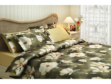 Tivolyo home ��� CLARIS 1,5 �� ����� ����.jpg