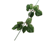 40/9907� ���� ��� ����