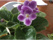 ���������� � �����