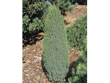 ������������ Miniatur 15-20cm C2-10,75