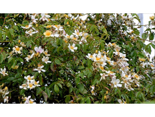 Wedding Day-11,95.jpg