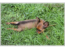 2 ������