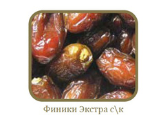 ������ � ���������