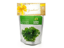 Hp-8 ��������, ����	113	���