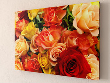 ����� �����.jpg