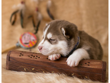 №3 �������