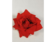 7146/30114XF ������ ���� �������� ���.(� ��. 12��)