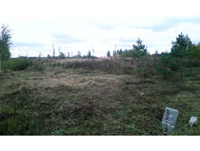 ������� 10 ����� ��� ��������