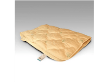 ��������� "���*��*���"