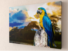 ���� � ���������.jpg