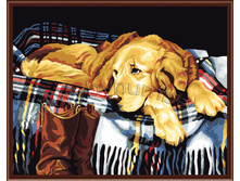 �������� ������� �������: GL5441 505 ������