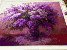 55f1751c3a923 image.jpg