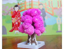 ��������� ���������