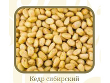 �������� ����� �������.jpg