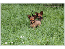 2 ������