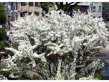 ����� ���������� ����� �����-167