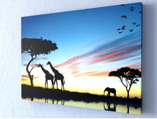 ������ � ������.jpg