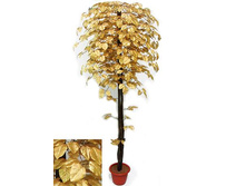 180/��/83� ������ �������