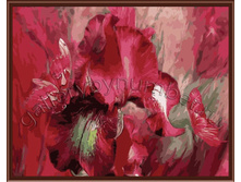 ������� ���� �������: GL8040 505 ������