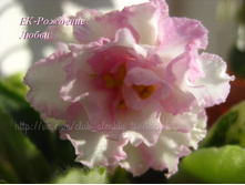 ��-�������� �����