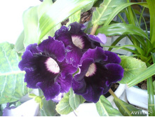 ��������� ����������� ������..jpg