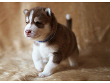 №3 �������