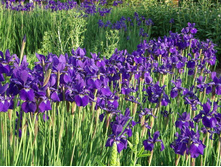 ���� ��������� 70���, ����� 3 �� ���� 2-�!!!!