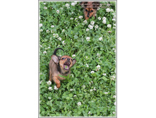 2 ������