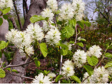 ���������� �������-193