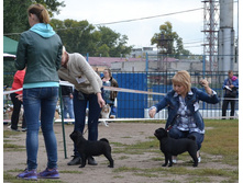 ���� �������