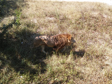 20150821 142629.jpg