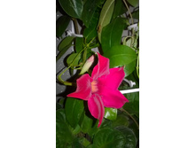 WP 20150822 22 45 21 Pro.jpg