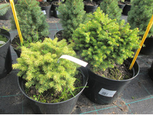 �.�����800-������.�����1800-2000