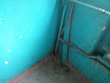 IMG 20150908 070606.jpg