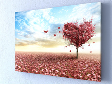 ������ �����.jpg