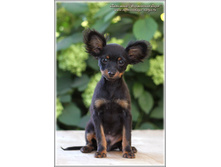 3 ������